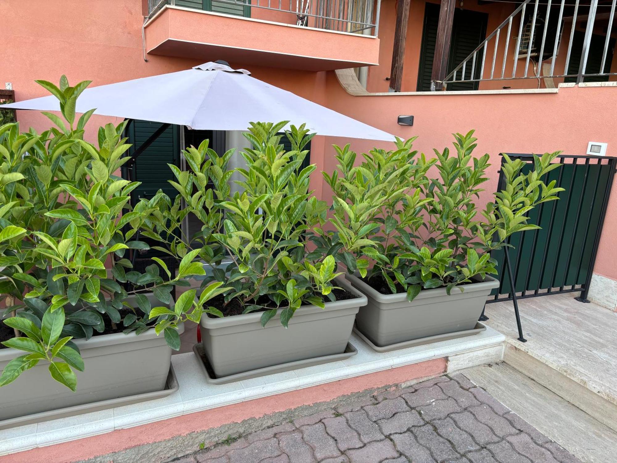 Casa Scala Dei Turchi * Realmonte